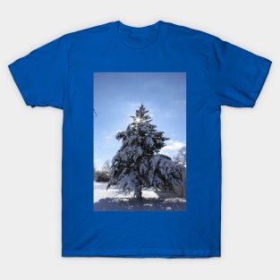 Snowy Evergreen tree with a Star T-Shirt